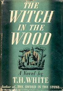 The Witch in the Wood