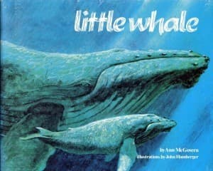 Little whale