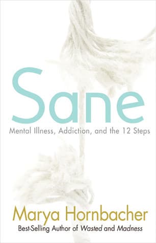 Sane: Mental Illness, Addiction, and the 12 Steps