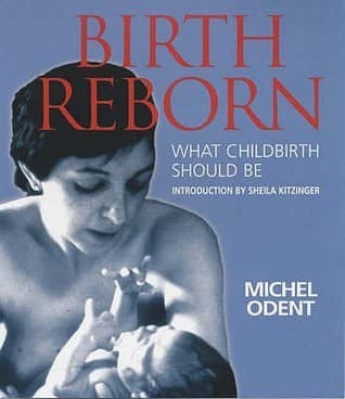 Birth Reborn : What Childbirth Should Be