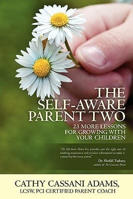 The Self-Aware Parent Two: 23 More Lessons for Growing with Your Children