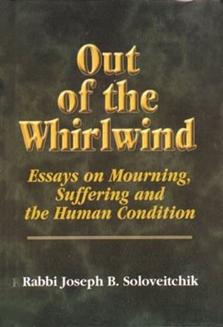 Out of the Whirlwind: Essays on Mourning, Suffering and the Human Condition