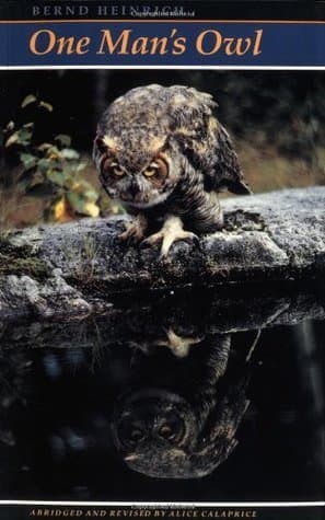 One Man's Owl: Abridged Edition