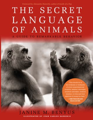Secret Language of Animals: A Guide to Remarkable Behavior