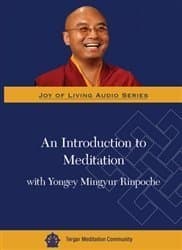 An Introduction to Meditation with Yongey Mingyur Rinpoche