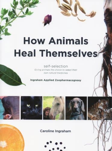 How Animals Heal Themselves: Ingraham Applied Zoopharmacognosy