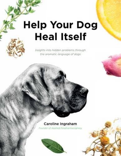 Help Your Dog Heal Itself: Insights into Hidden Problems Through the Aromatic Language of Dogs