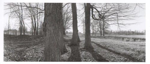 Geoffrey James: Field Notes