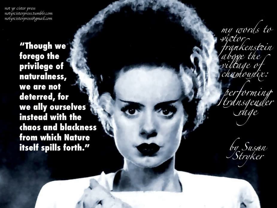 My Words to Victor Frankenstein above the Village of Chamounix: Performing Transgender Rage