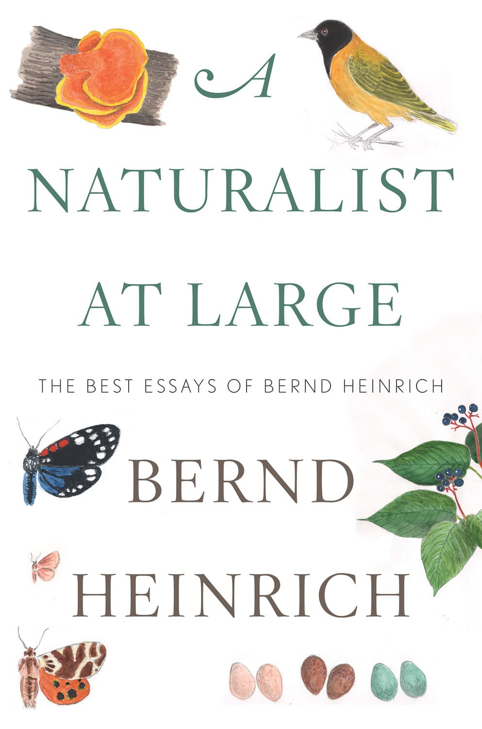 A Naturalist At Large: The Best Essays of Bernd Heinrich