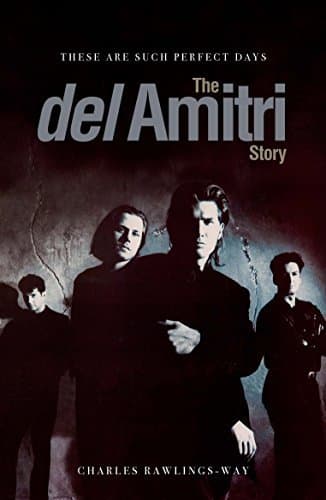These Are Such Perfect Days: The Del Amitri Story