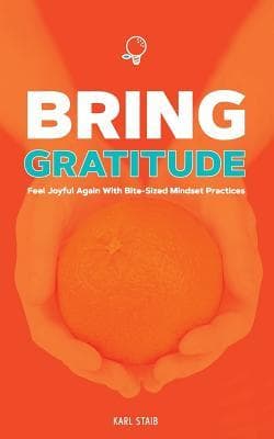 Bring Gratitude: Feel Joyful Again With Bite-Sized Mindset Practices