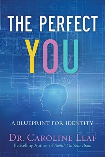 The Perfect You Curriculum Kit: A Blueprint for Identity
