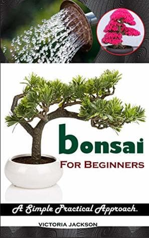 bonsai FOR BEGINNERS: A Simple Practical Approach