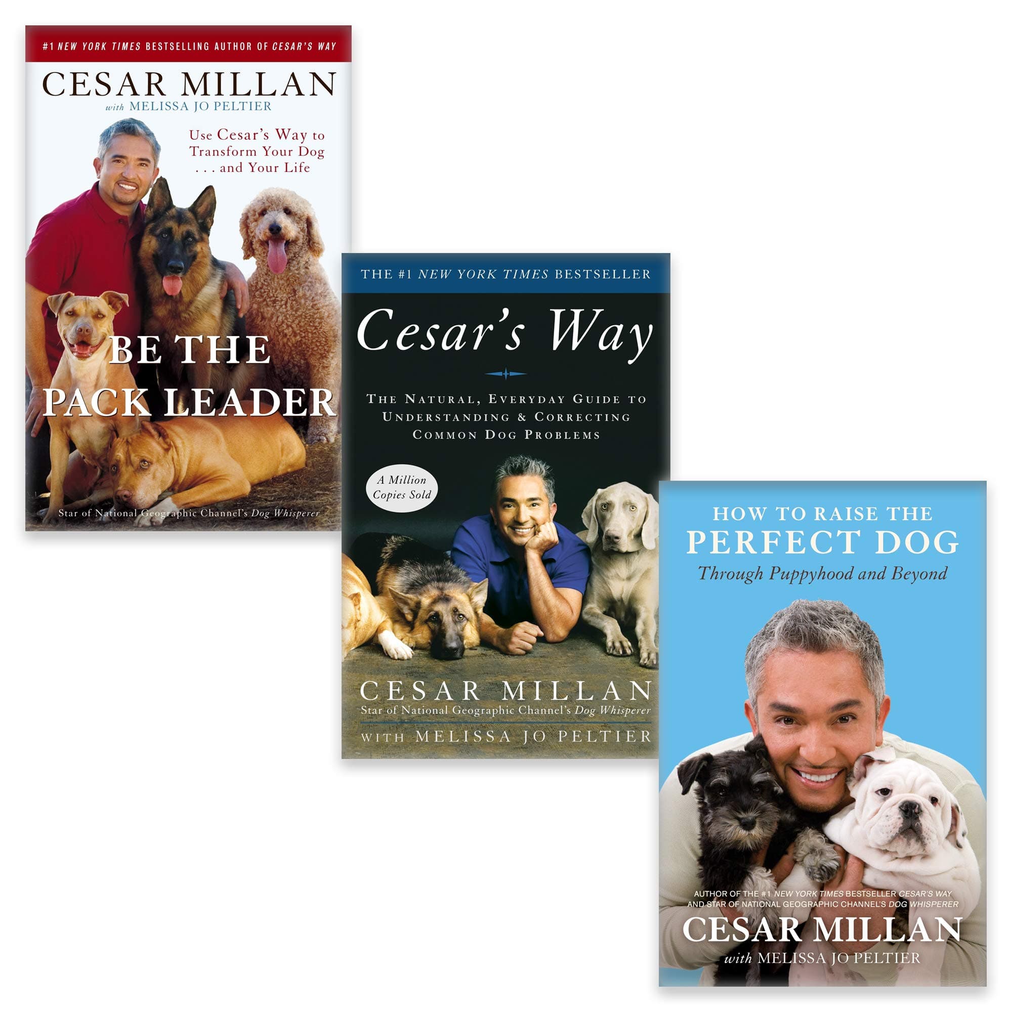 Cesar Milan 3 Books Collection Set