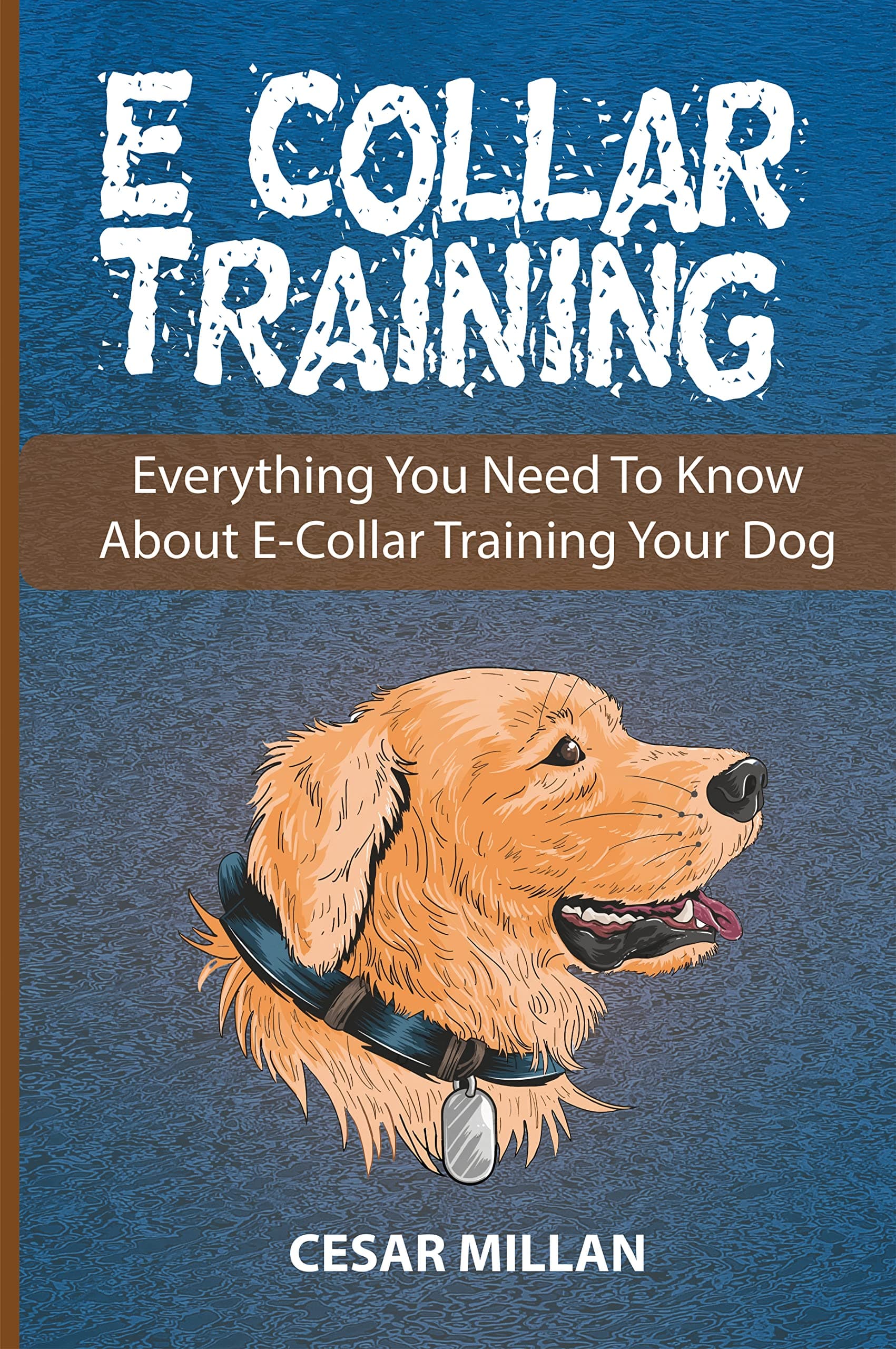 E-Collar Training: Everything You Need To Know About E-Collar Training Your Dog