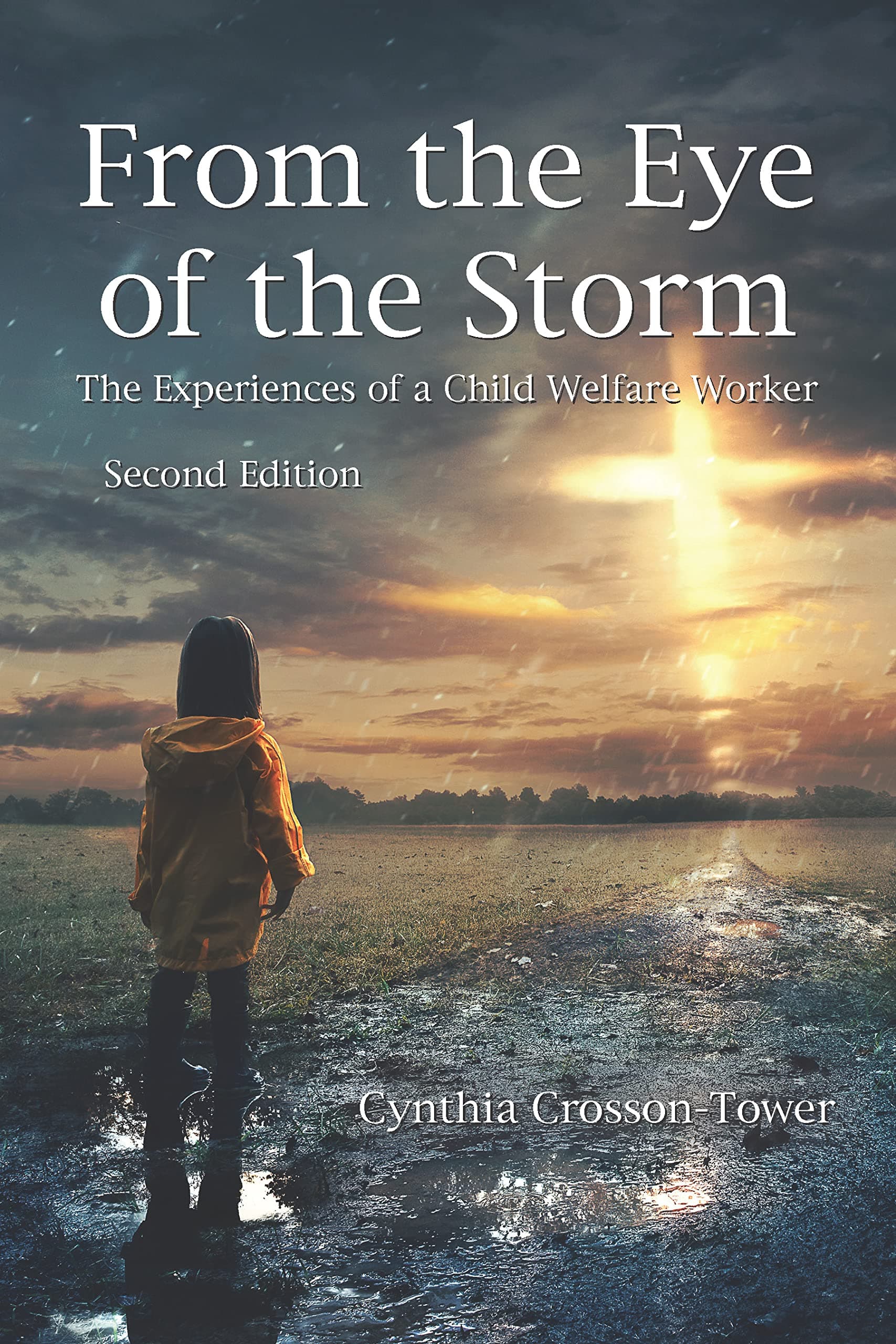 From the Eye of the Storm: The Experiences of a Child Welfare Worker, Second Edition
