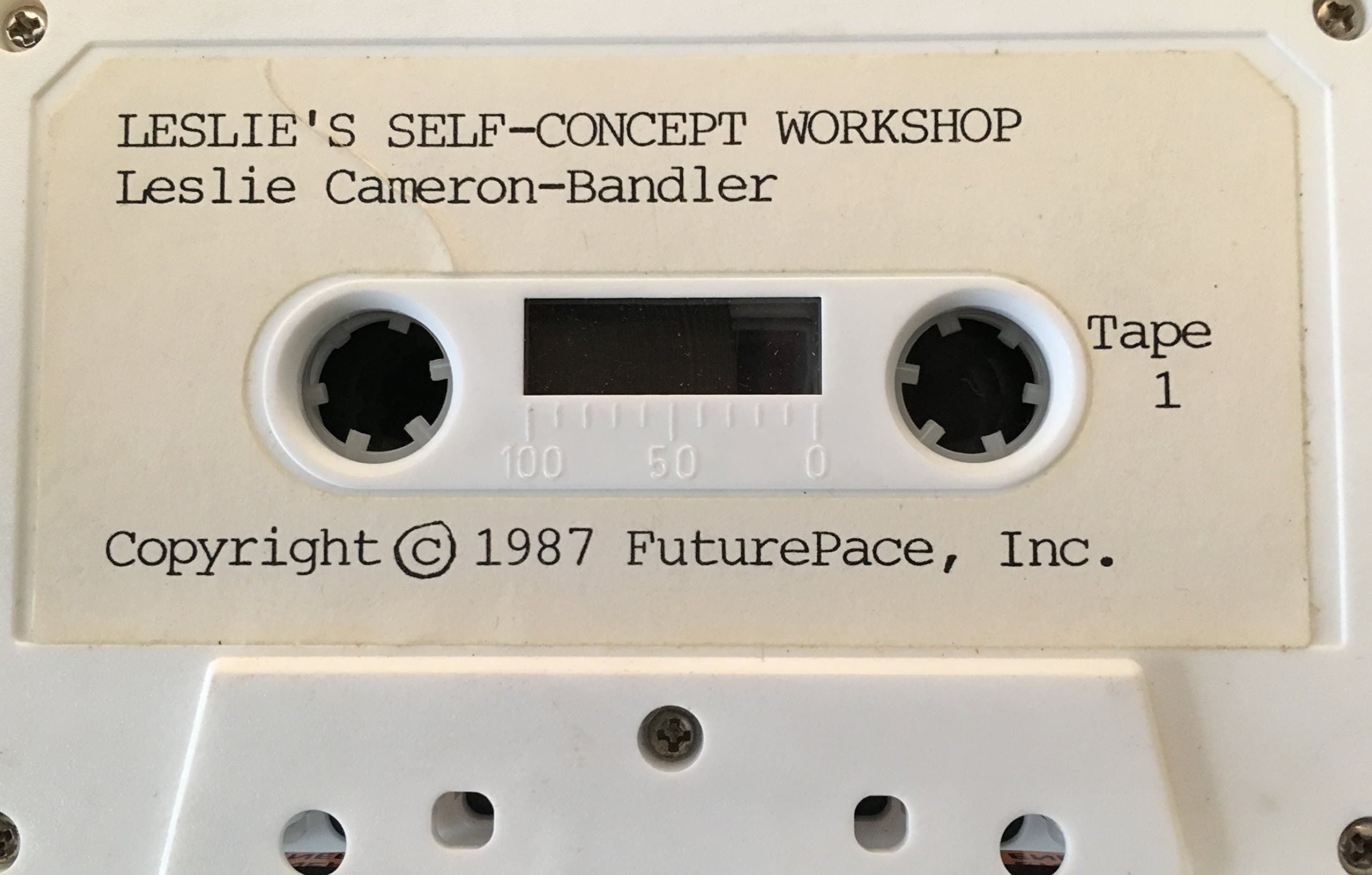 Leslie's Self-Concept Workshop