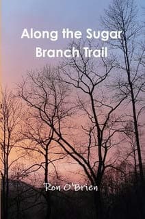 Along the Sugar Branch Trail