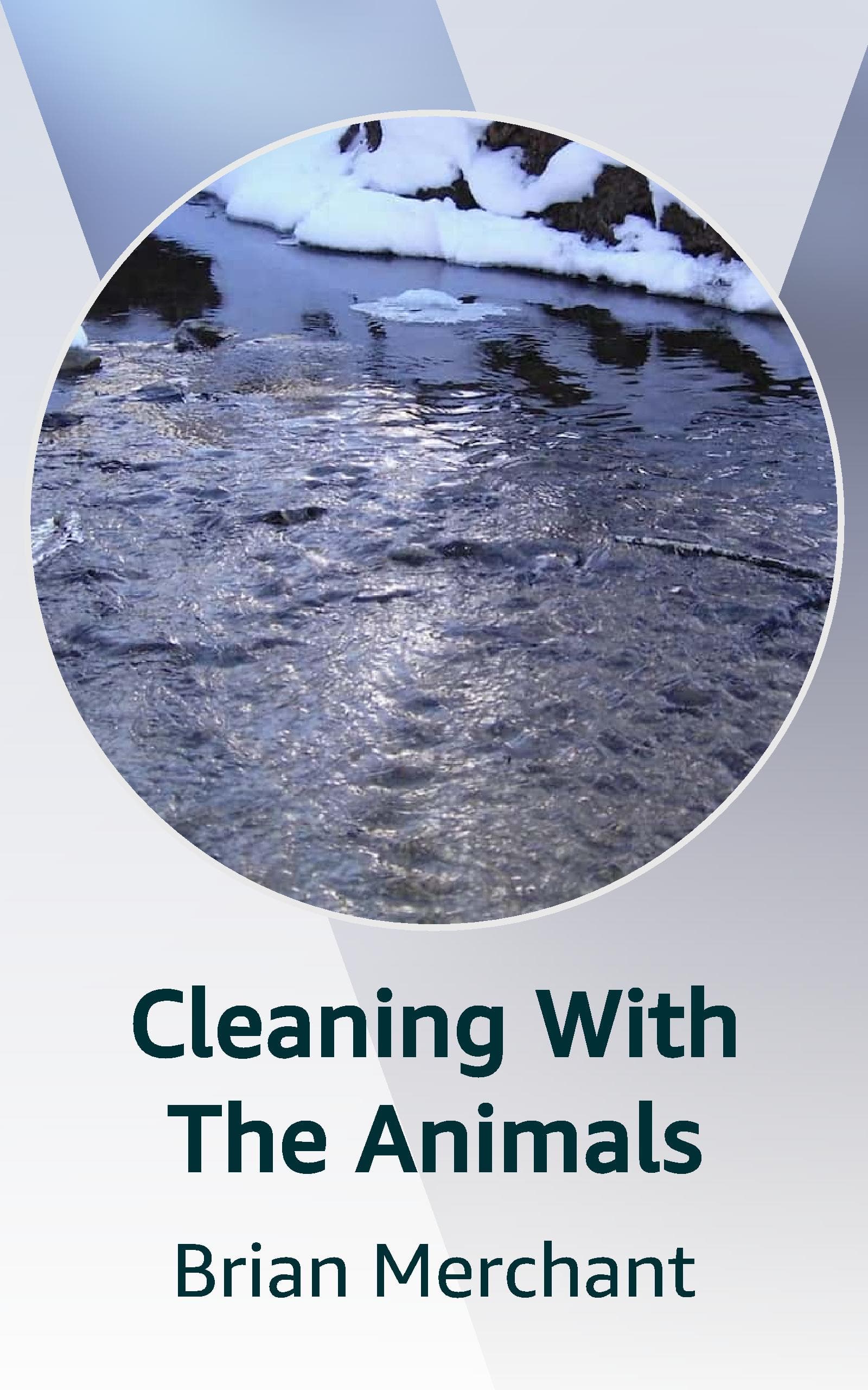 Cleaning With The Animals