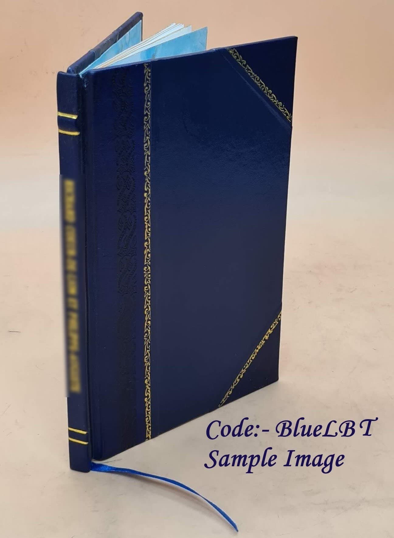 i appeal unto caesar the case of the conscientious objector 1918 [Leather Bound]