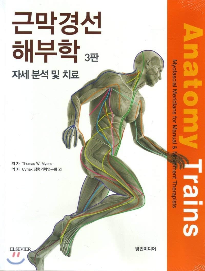 Myofascial anatomy
