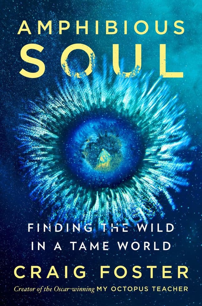 Amphibious Soul: Finding the Wild in a Tame World—A Memoir of Nature's Healing Power
