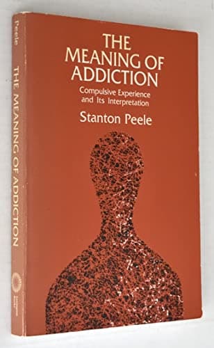 The Meaning of Addiction: Compulsive Experience and Its Interpretation
