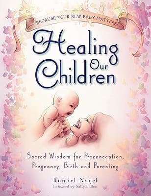 Healing Our Children: Because Your New Baby Matters! Sacred Wisdom for Preconception, Pregnancy, Birth and Parenting