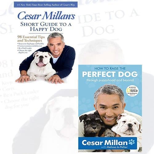 Cesar Millan's Short Guide to a Happy Dog, How to Raise the Perfect Dog 2 Books Bundle Collection- 98 Essential Tips and Techniques