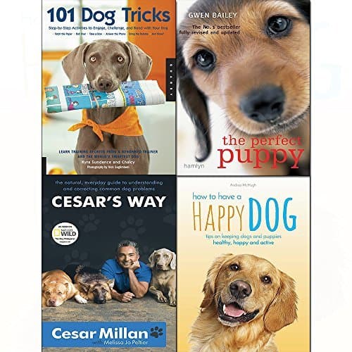Cesar's way,perfect puppy,101 dog tricks,how to have a happy dog 4 books collection set