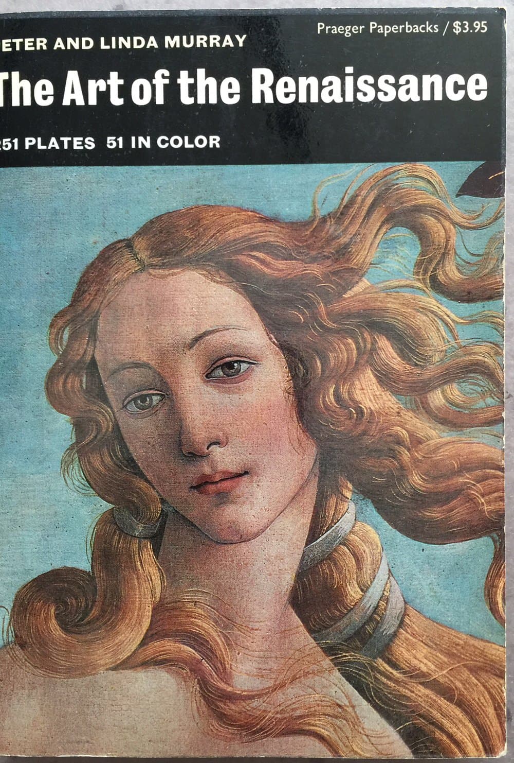 The Art Of The Renaissance by Peter & Linda Murray