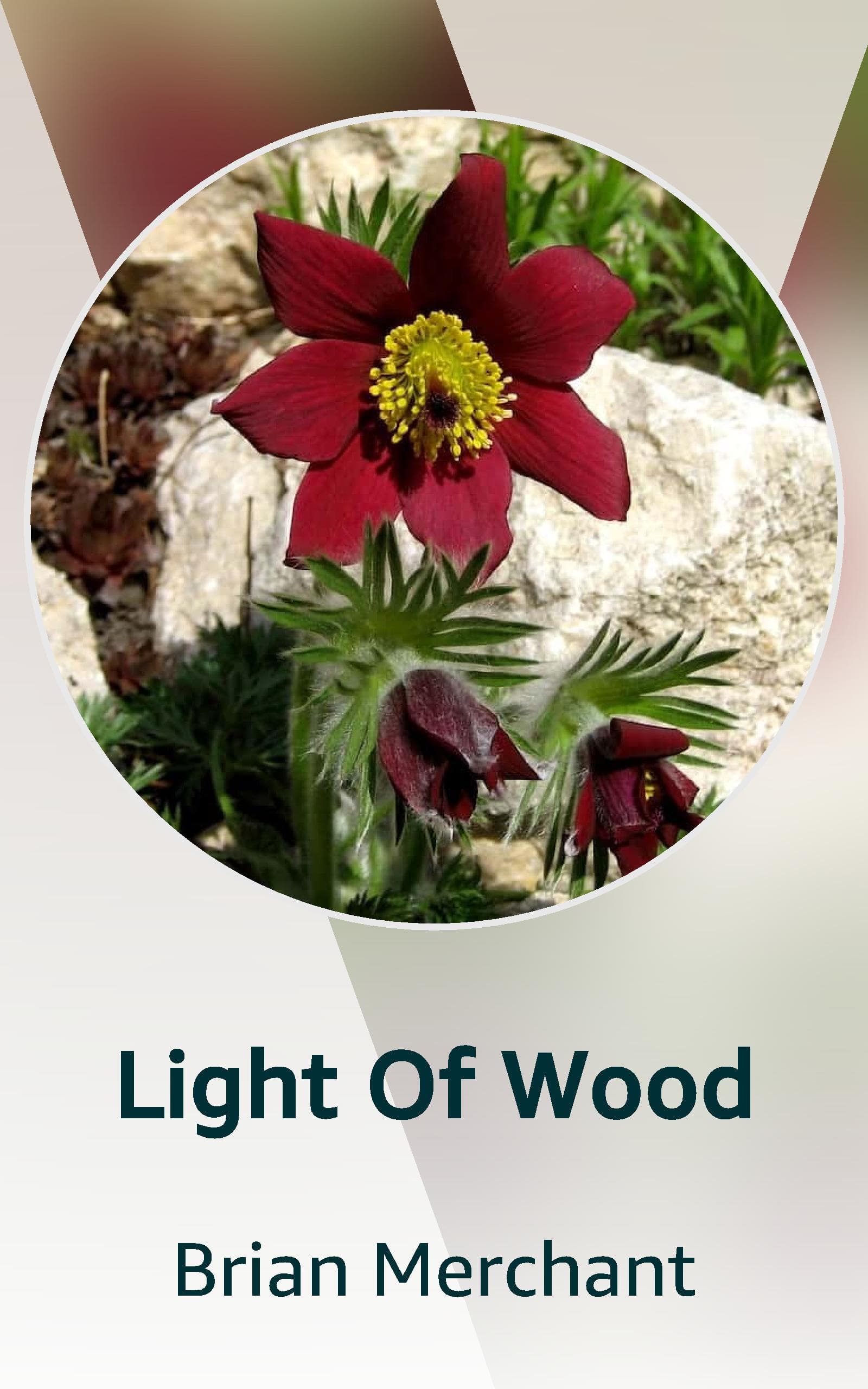 Light Of Wood