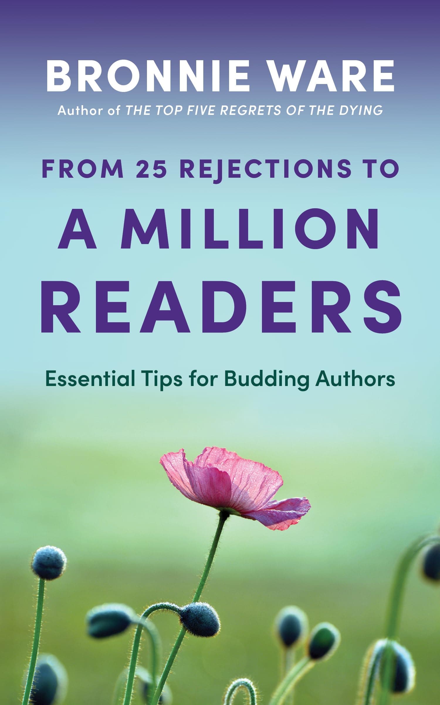 From 25 Rejections to a Million Readers: Essential Tips for Budding Authors