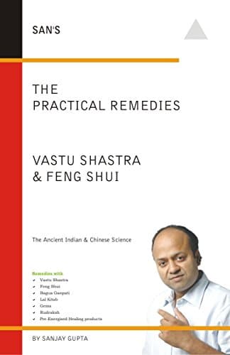 The Practical Remedies Vastu Shastra & Feng Shui: Vastu rectification without demolition